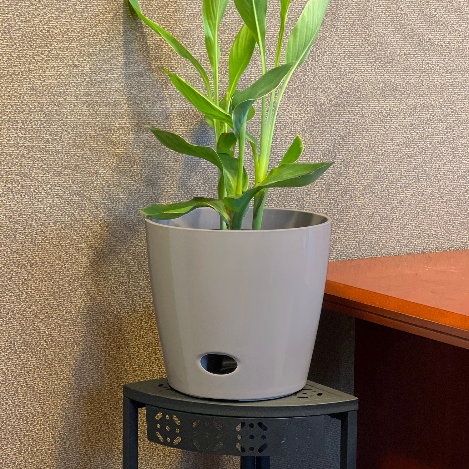 10" Round Self-Watering Bamboo Pot - Gray