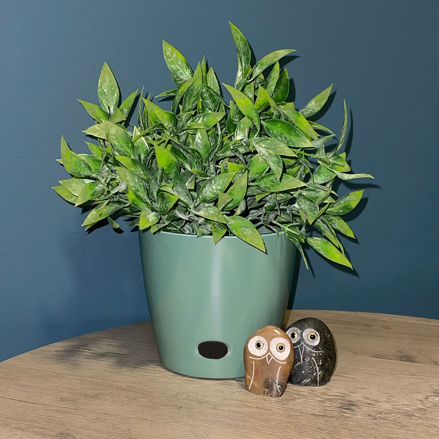 5" Round Self-Watering Bamboo Pot - Sage Green