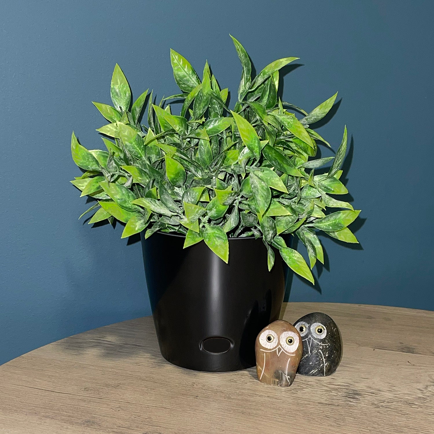 5" Round Self-Watering Bamboo Pot - Black