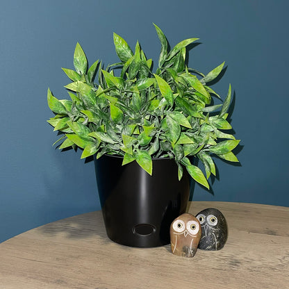 5" Round Self-Watering Bamboo Pot - Black