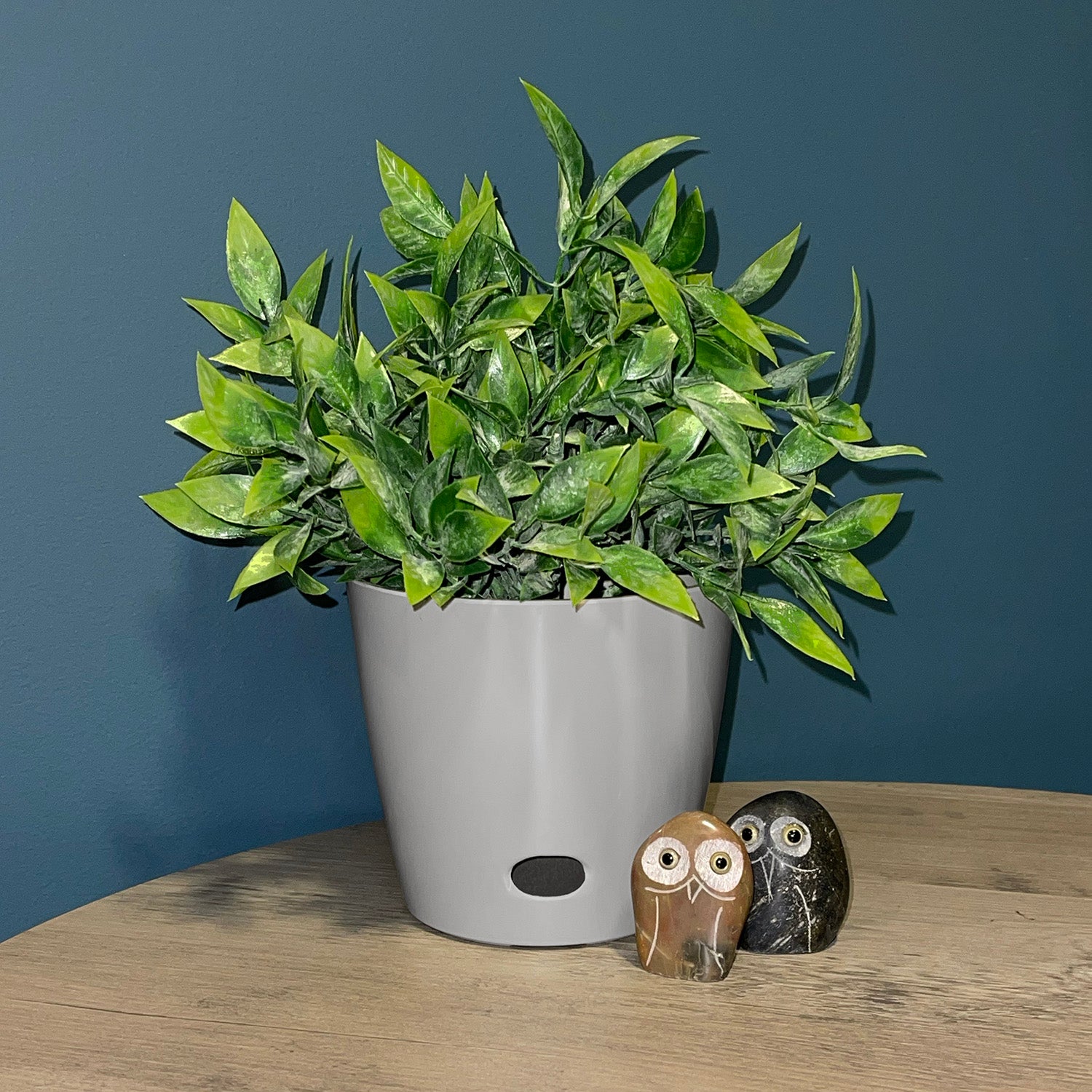 5" Round Self-Watering Bamboo Pot - Gray