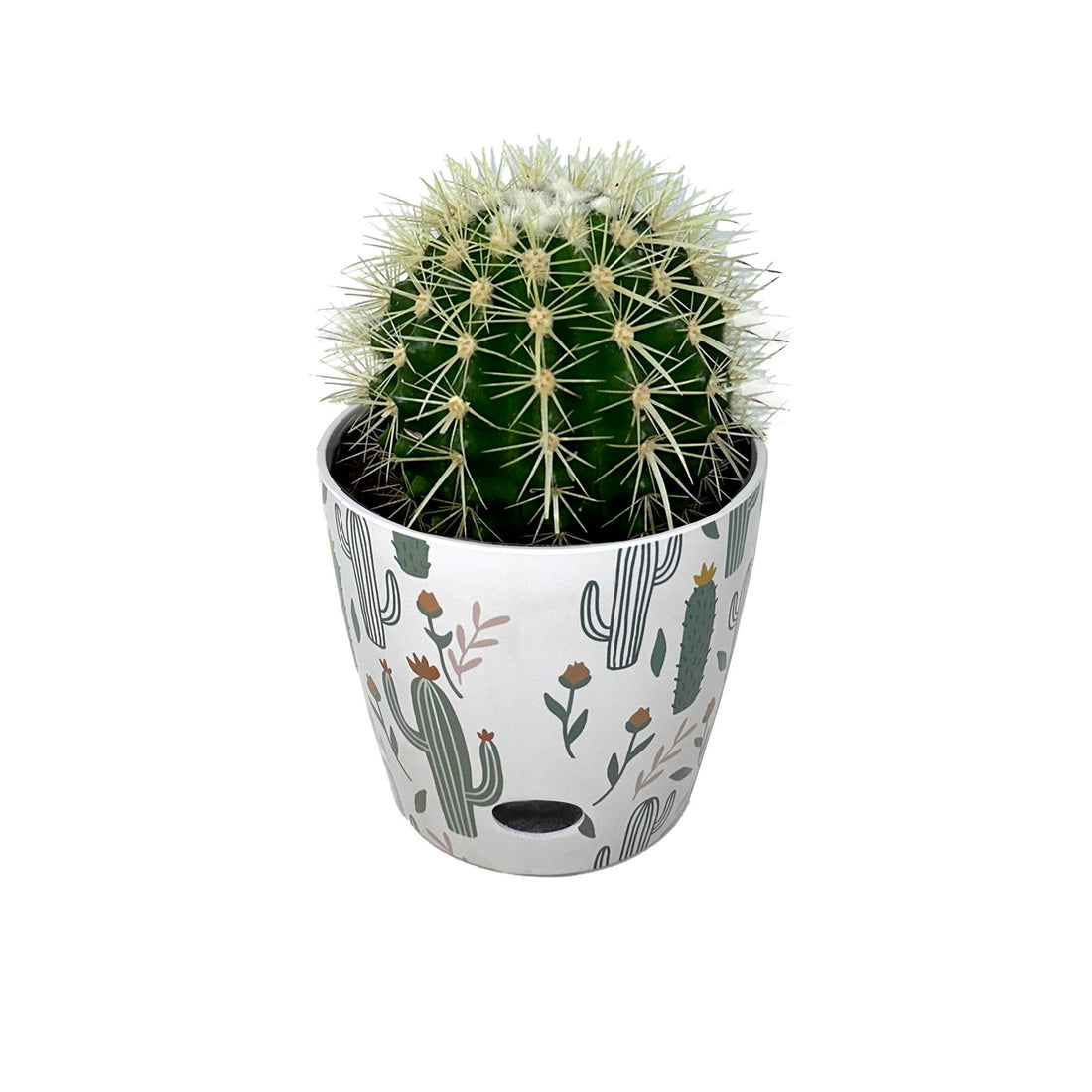 Self-Watering Bamboo Pot - 7&quot; Cactus Round