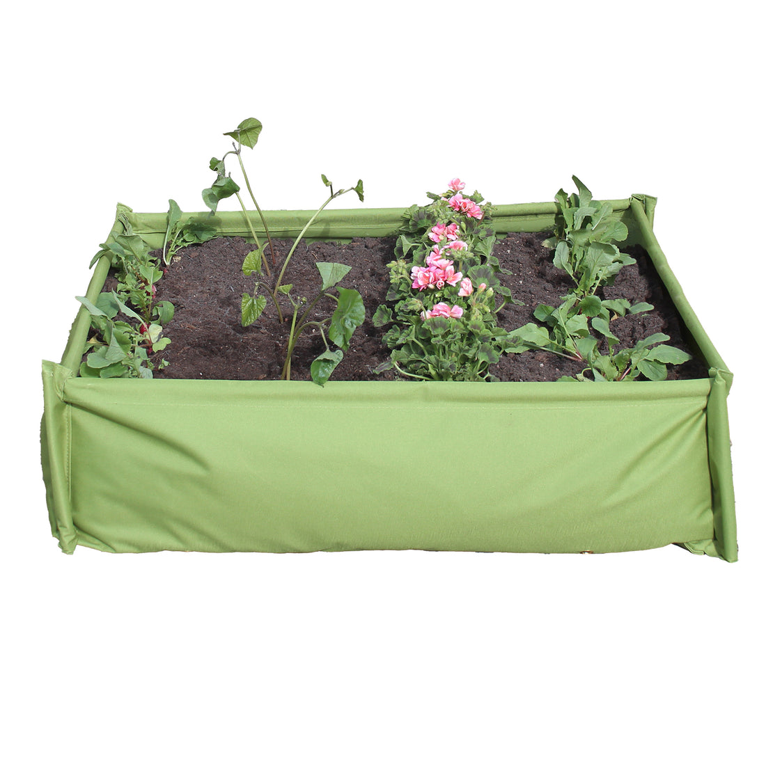 Premium Fabric My First Vegetable / Sandpit