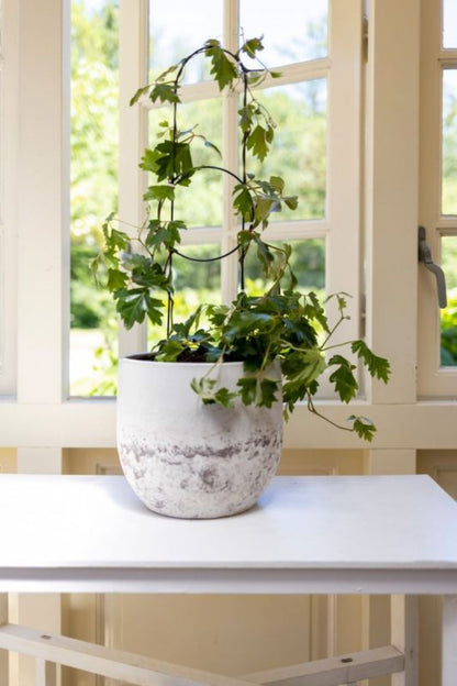 Vario Trellis Plant Support Kit - Deco Style