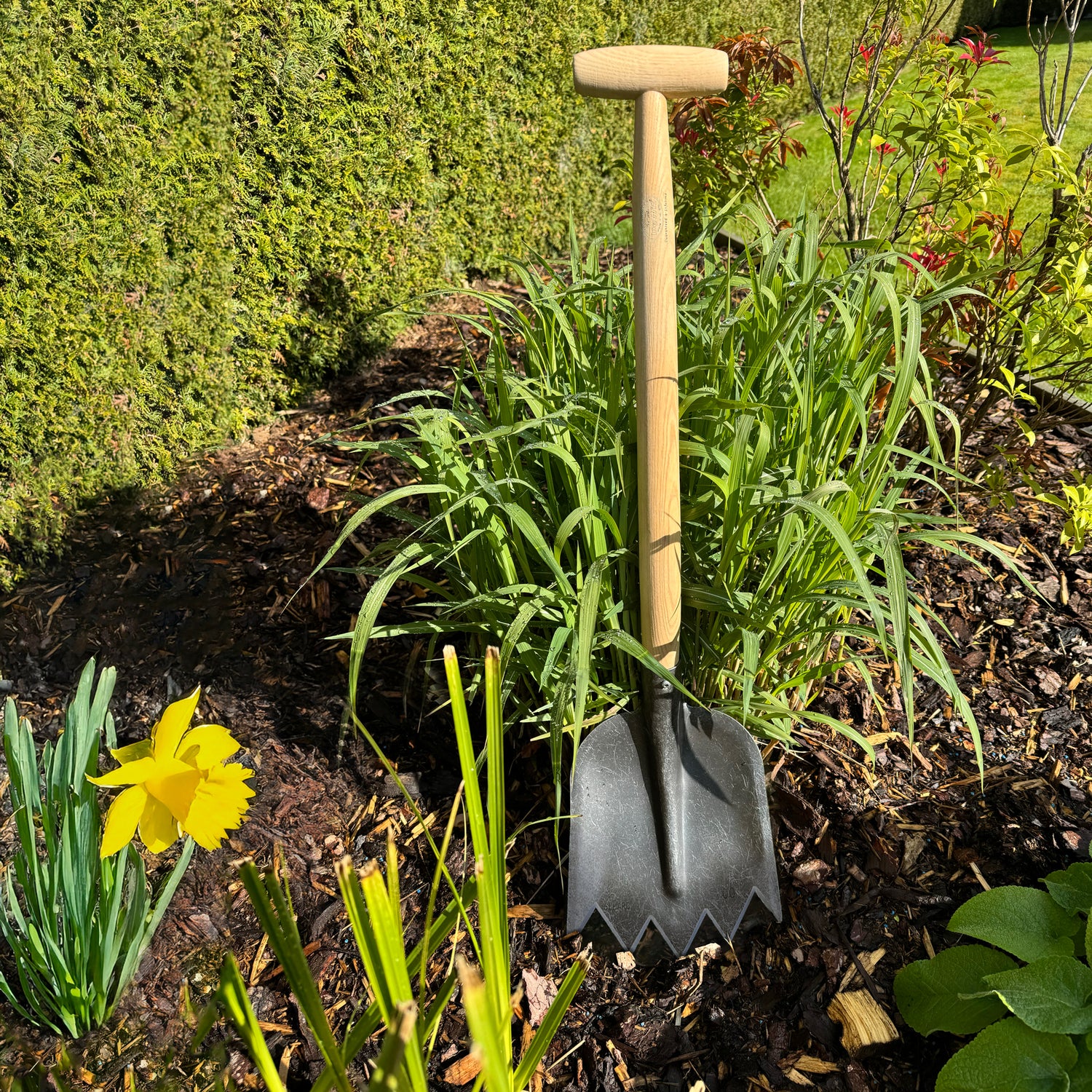 DeWit Shovel - Serrated with T-Handle