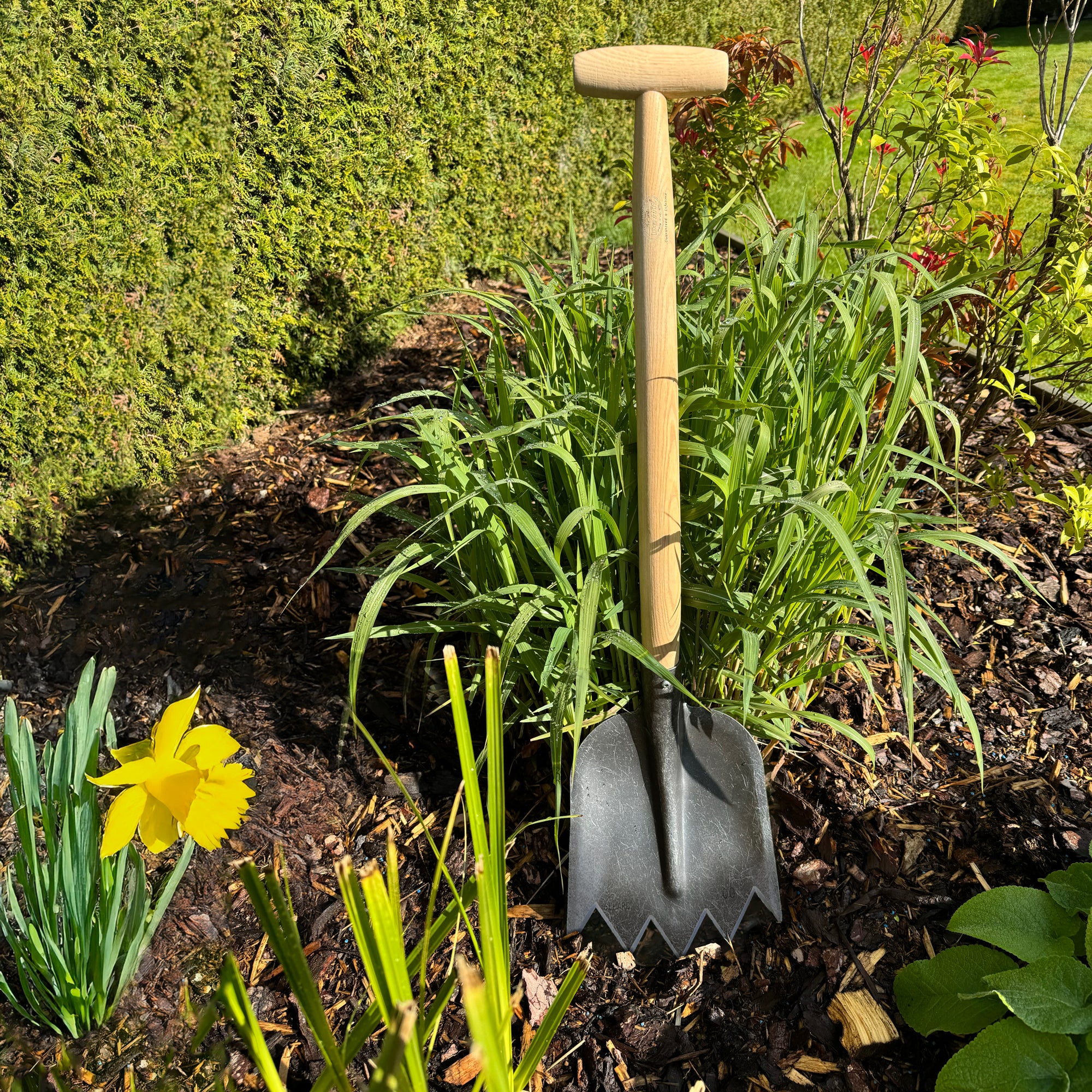 DeWit Shovel - Serrated with T-Handle