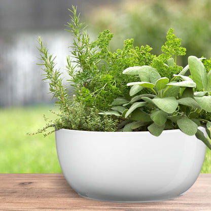 Basel Full Ceramic Color Pot - 6.3" Shiny White