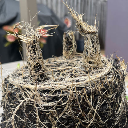 7" Round Self-Watering Bamboo Pot - Gray Leaves