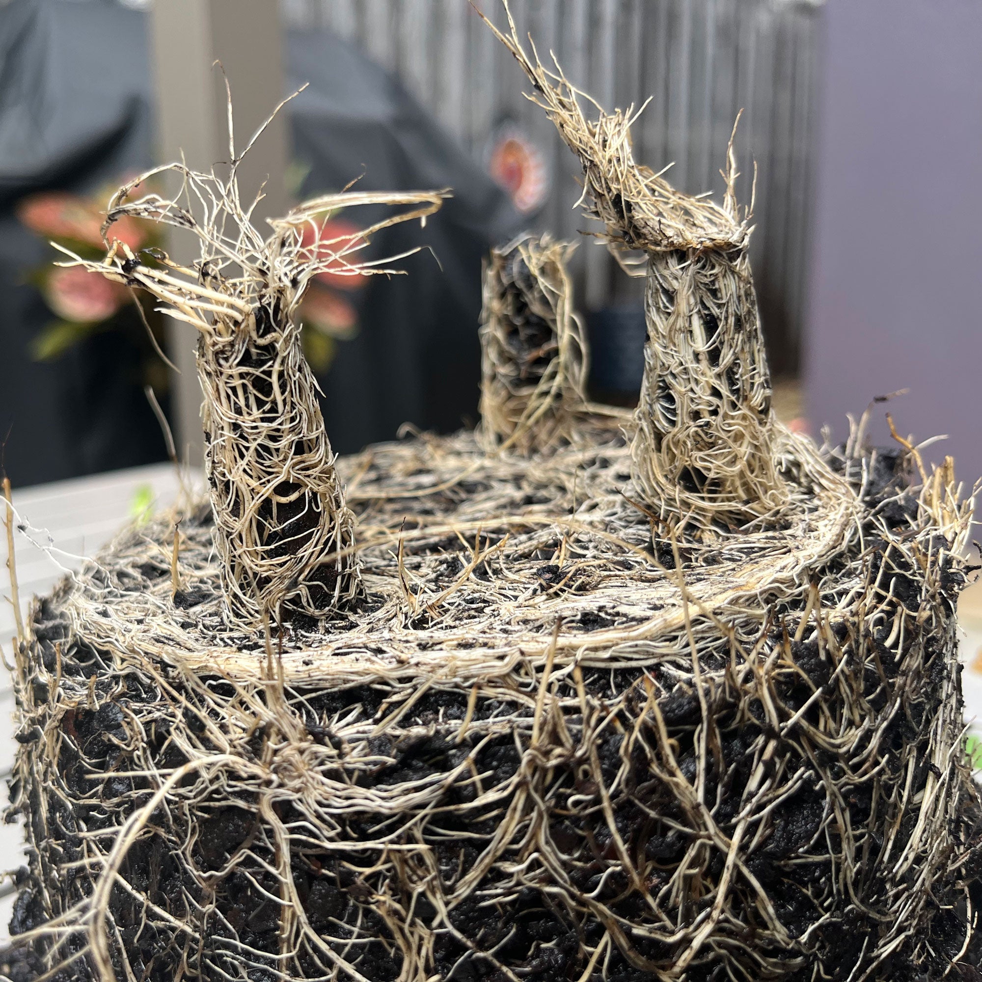 7" Round Self-Watering Bamboo Pot - Gray