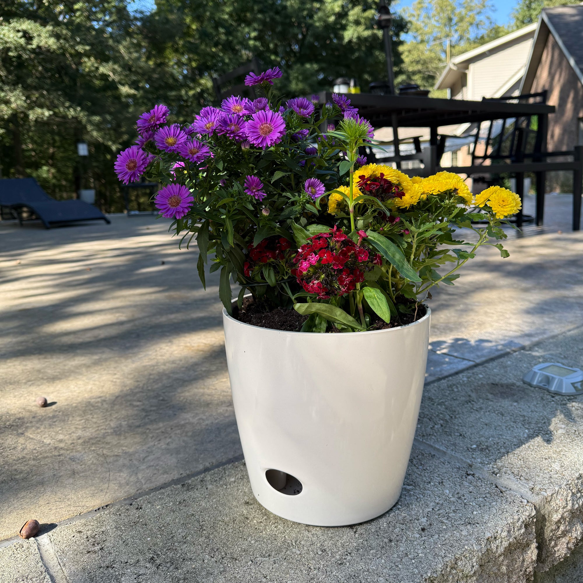 Self-Watering Bamboo Pot - 10" Cream Round
