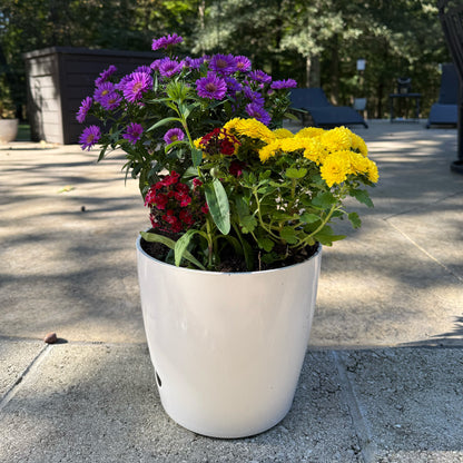 Self-Watering Bamboo Pot - 10" Cream Round