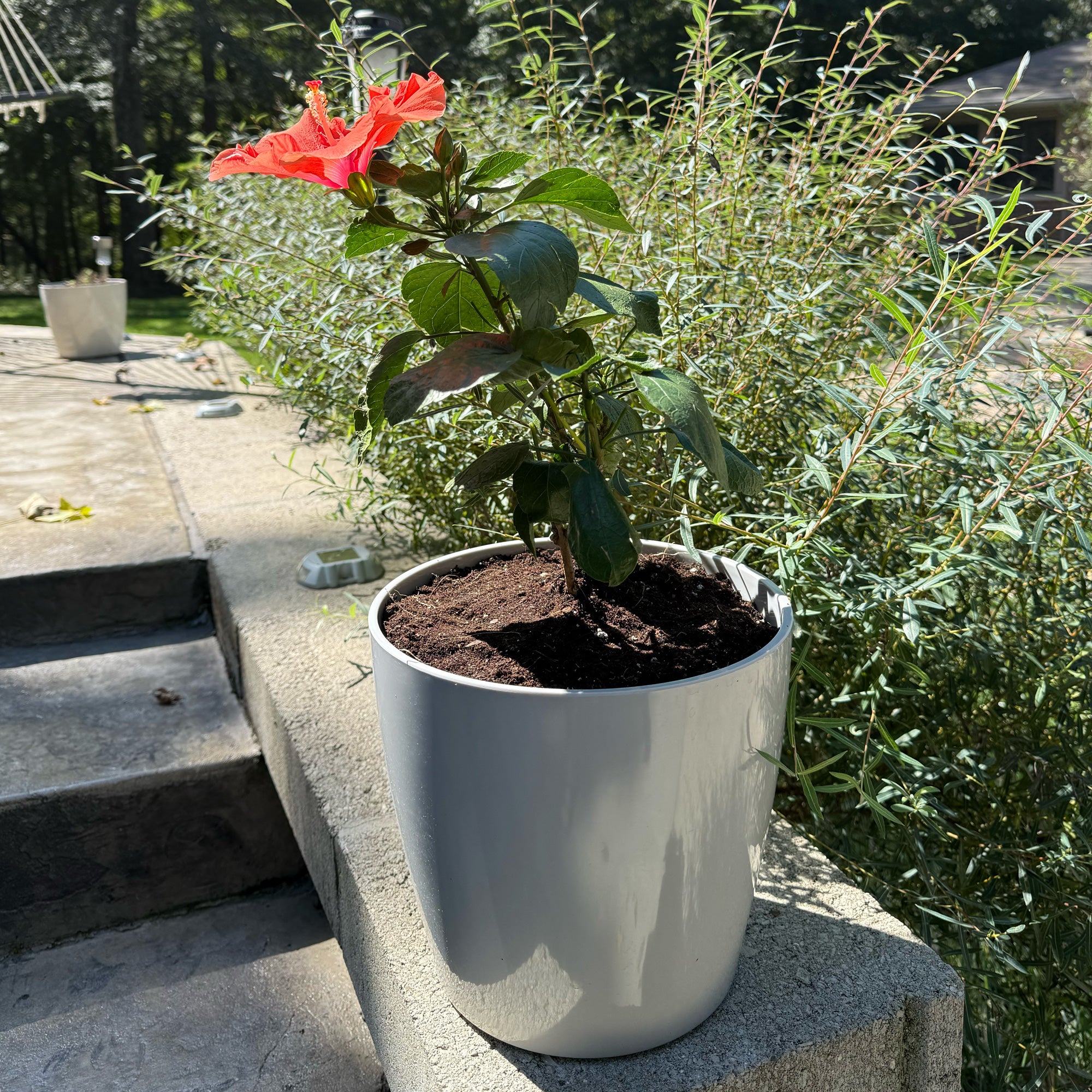 10" Round Self-Watering Bamboo Pot - Gray