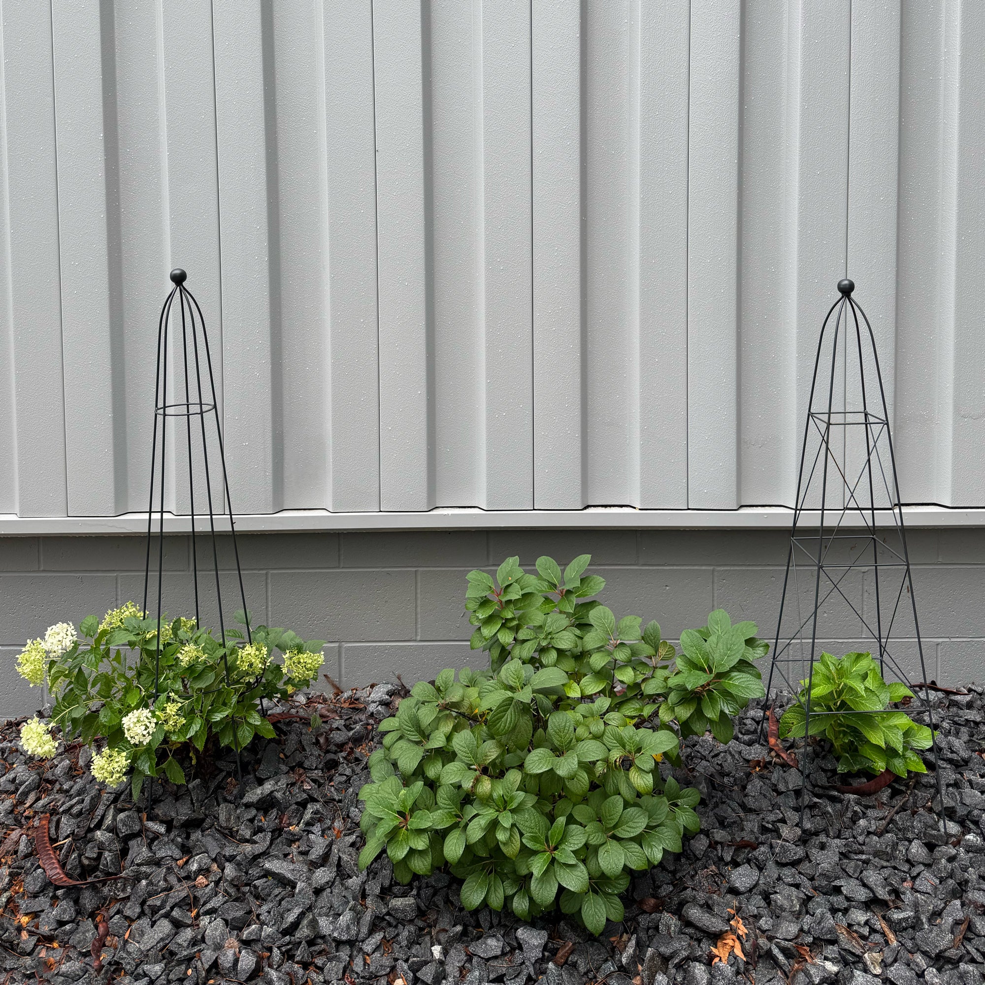 Queen Obelisk Classic