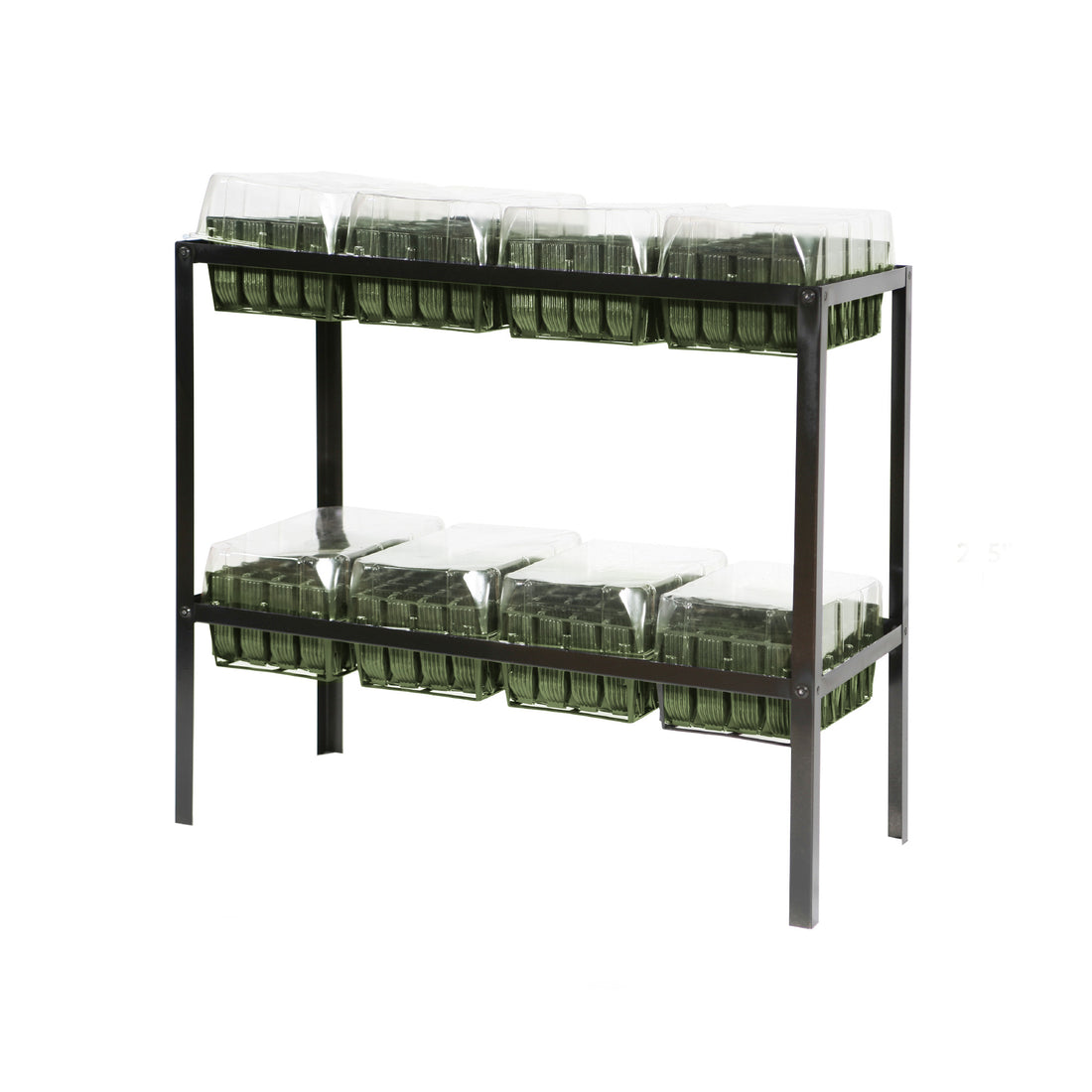 Haxnicks Rootrainer Racking Station w/ 8 Deep Rootrainers