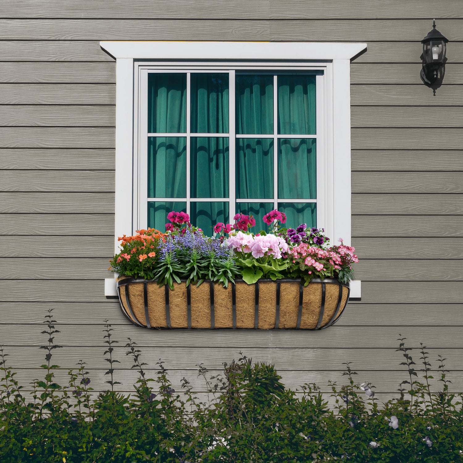 Cambridge Premium Wall Trough with Coco Liner - 36"