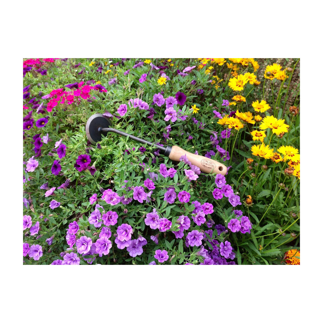 DeWit Weeder - Disc with10" Handle