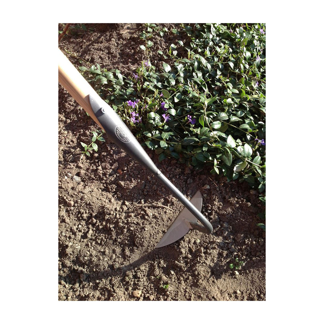 DeWit Hoe - Half Moon Pull with 62" Handle