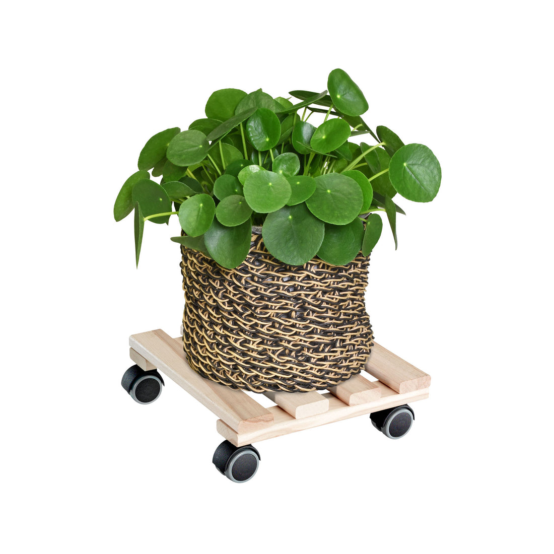 Wooden Plant Caddy - 10&quot; Natural Square