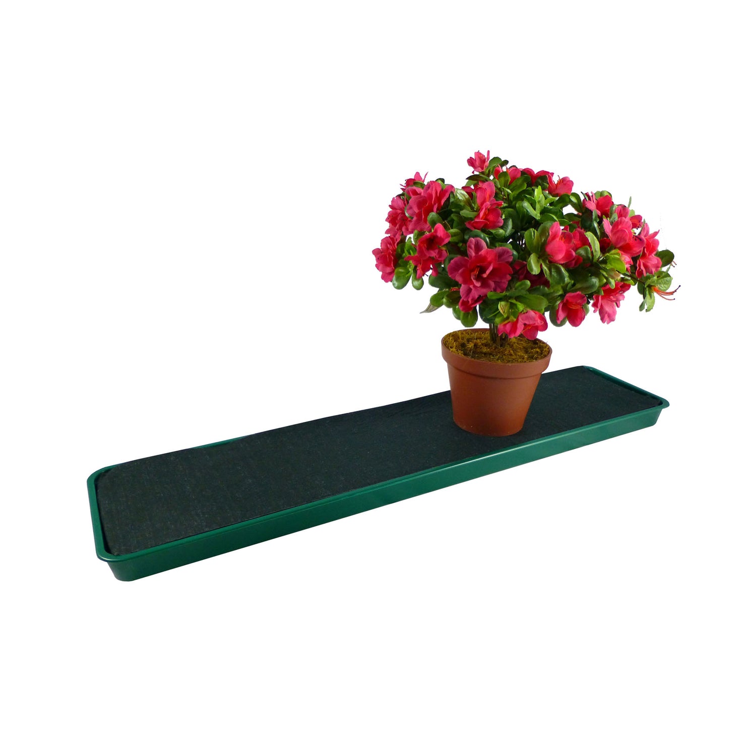 Windowsill Tray - Green