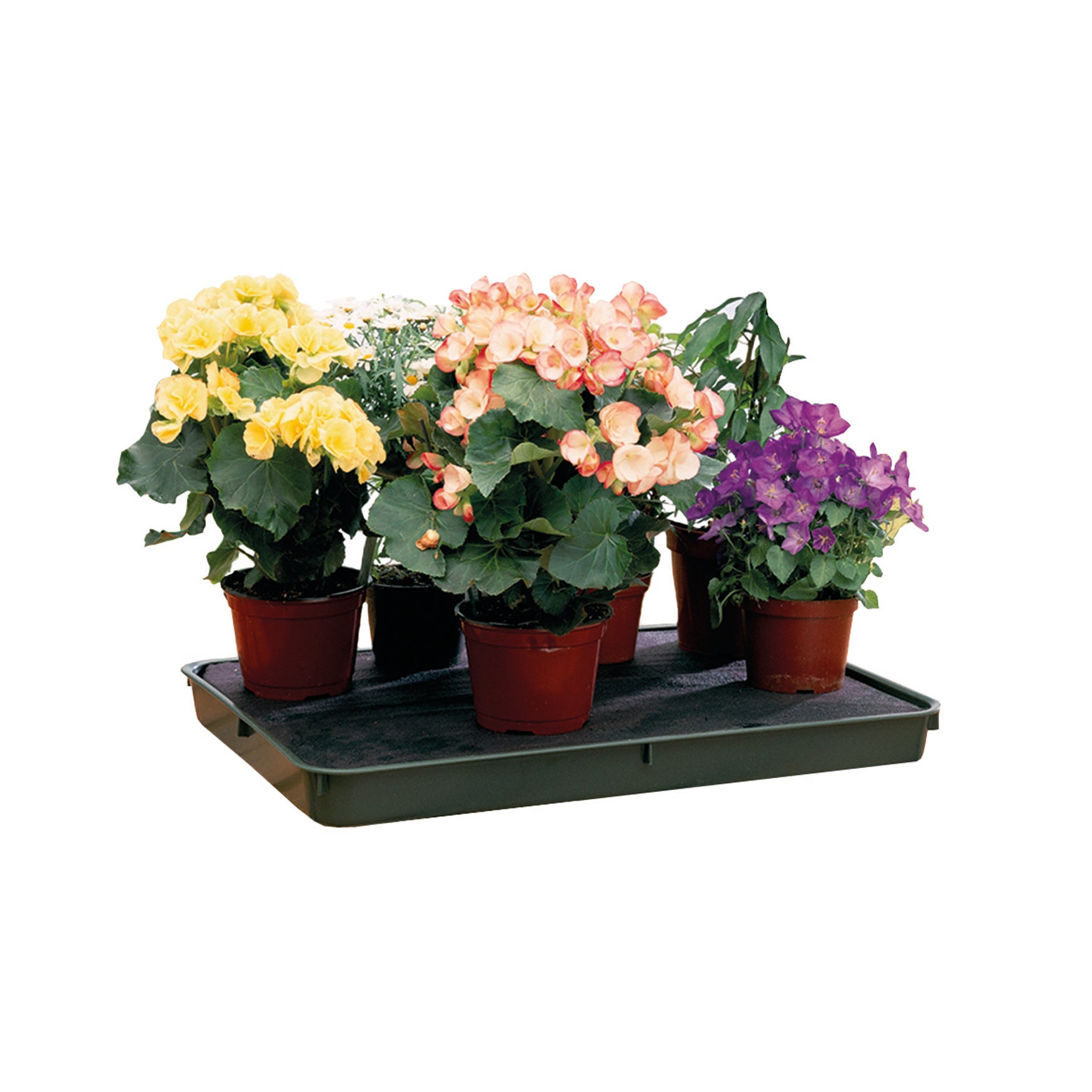 Self-Watering Tray - Large Green