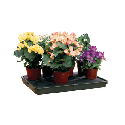 Self-Watering Tray - Large Green