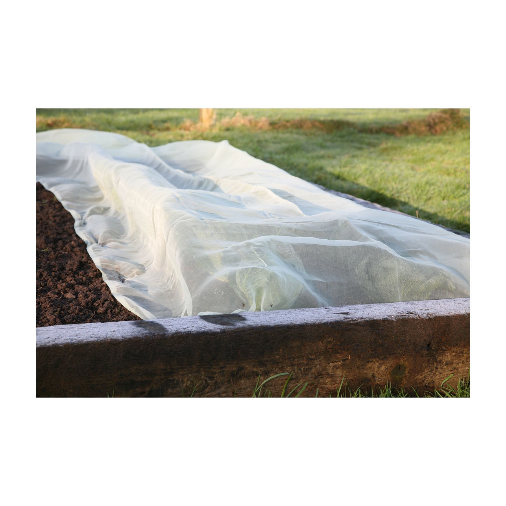 Micromesh Garden Blanket