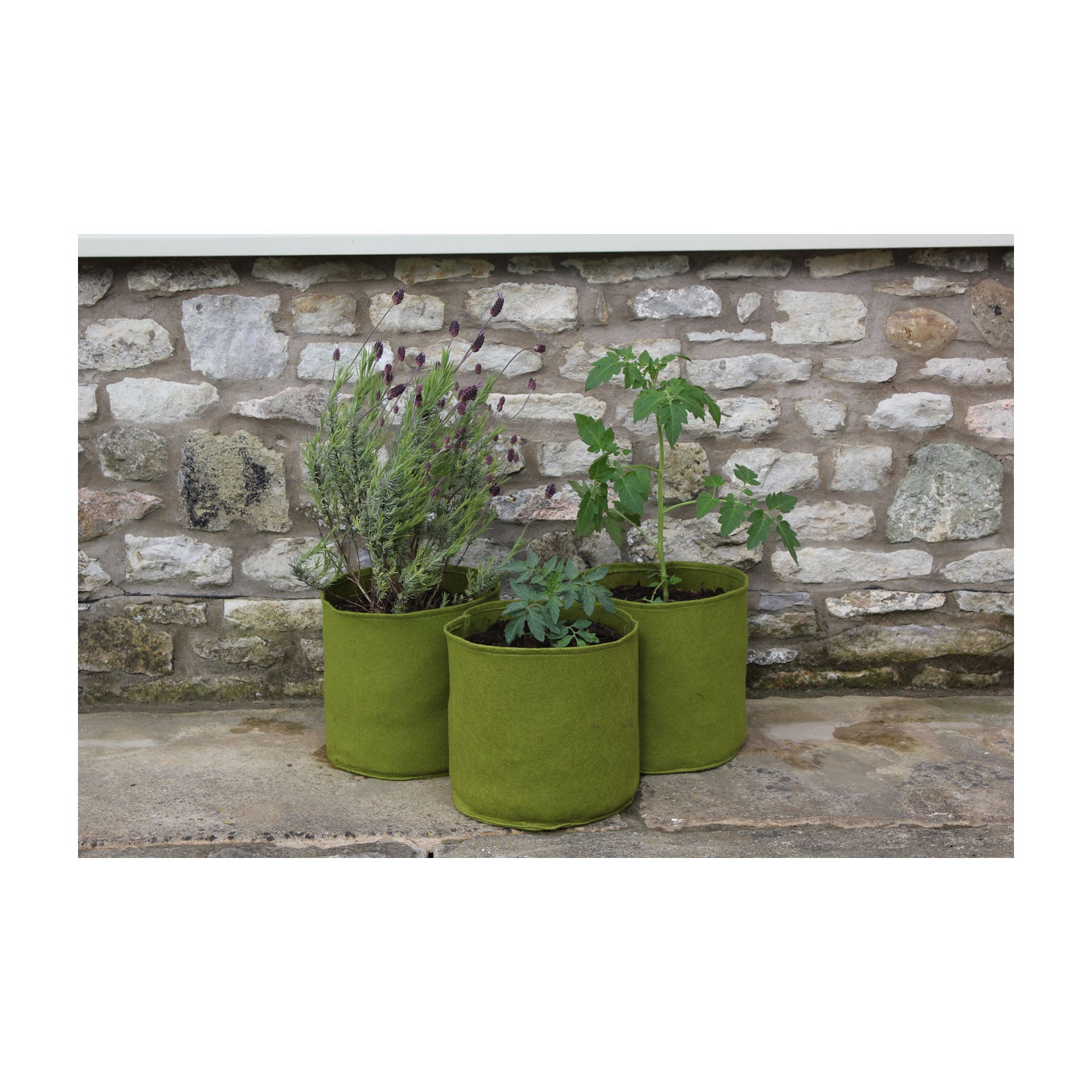 Vigoroot Pots (3 pack) - 2.6 Gal