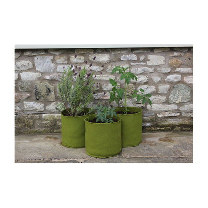 Vigoroot Pots (3 pack) - 2.6 Gal