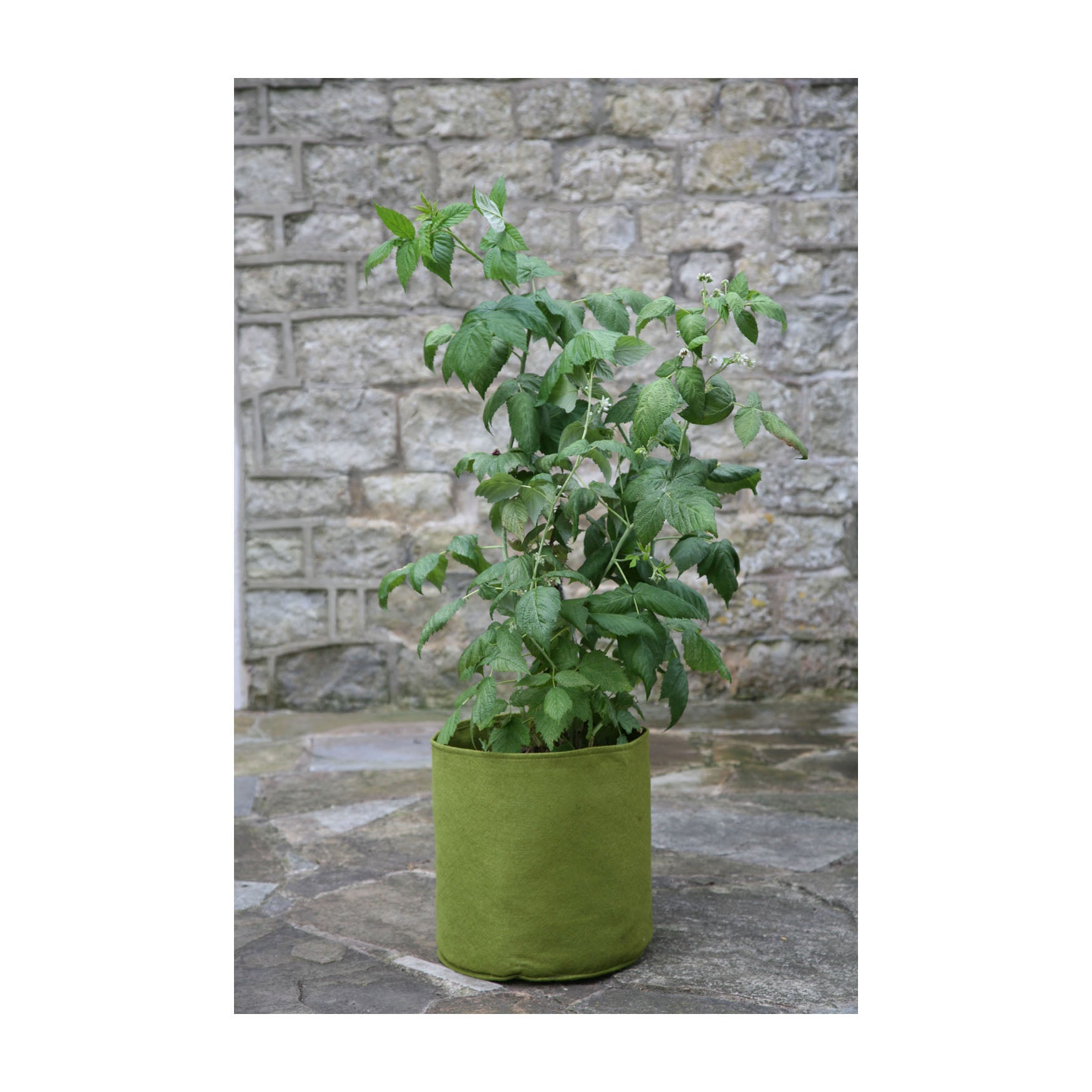 Vigoroot Pots (3 pack) - 4.0 Gal