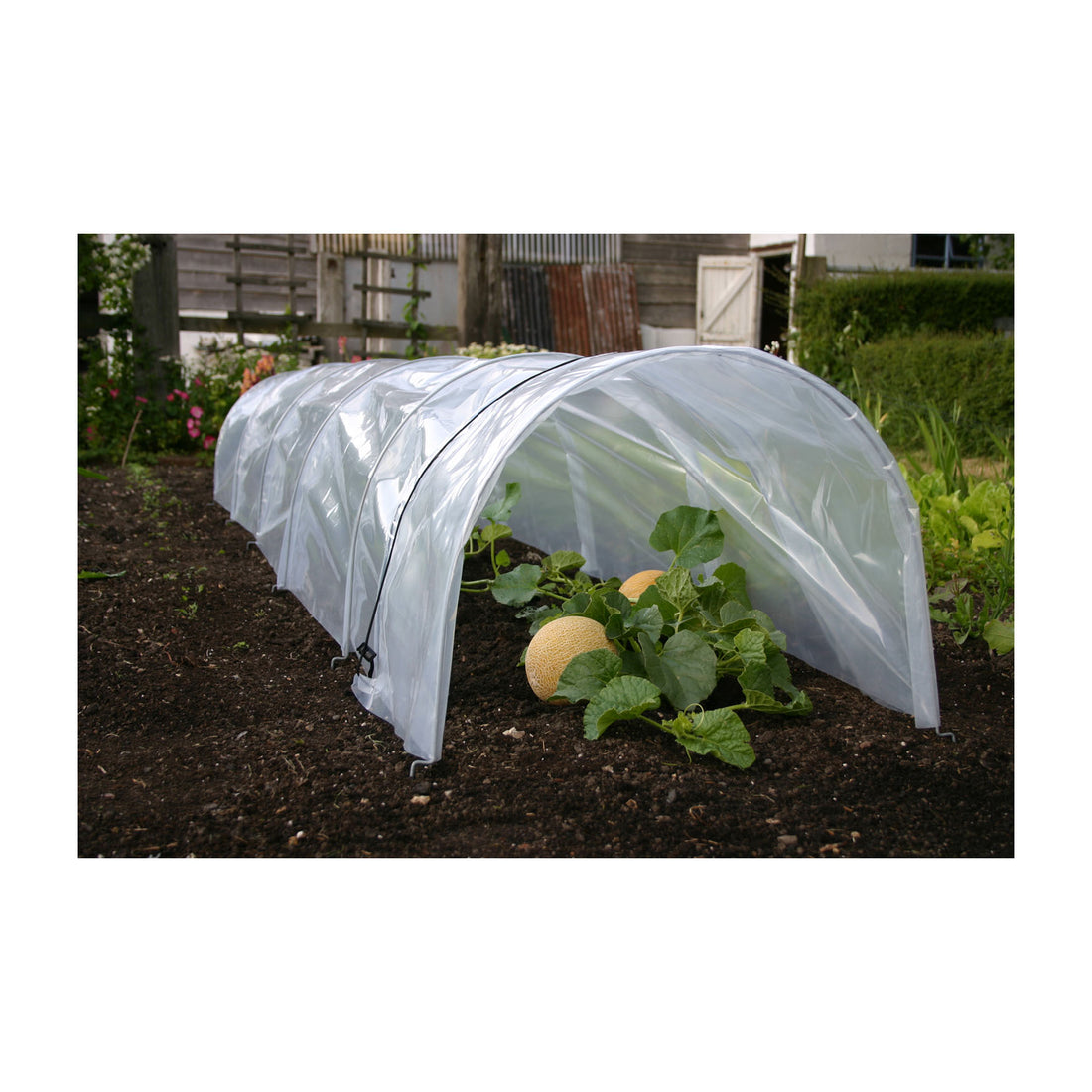 Easy Poly Tunnel - Giant