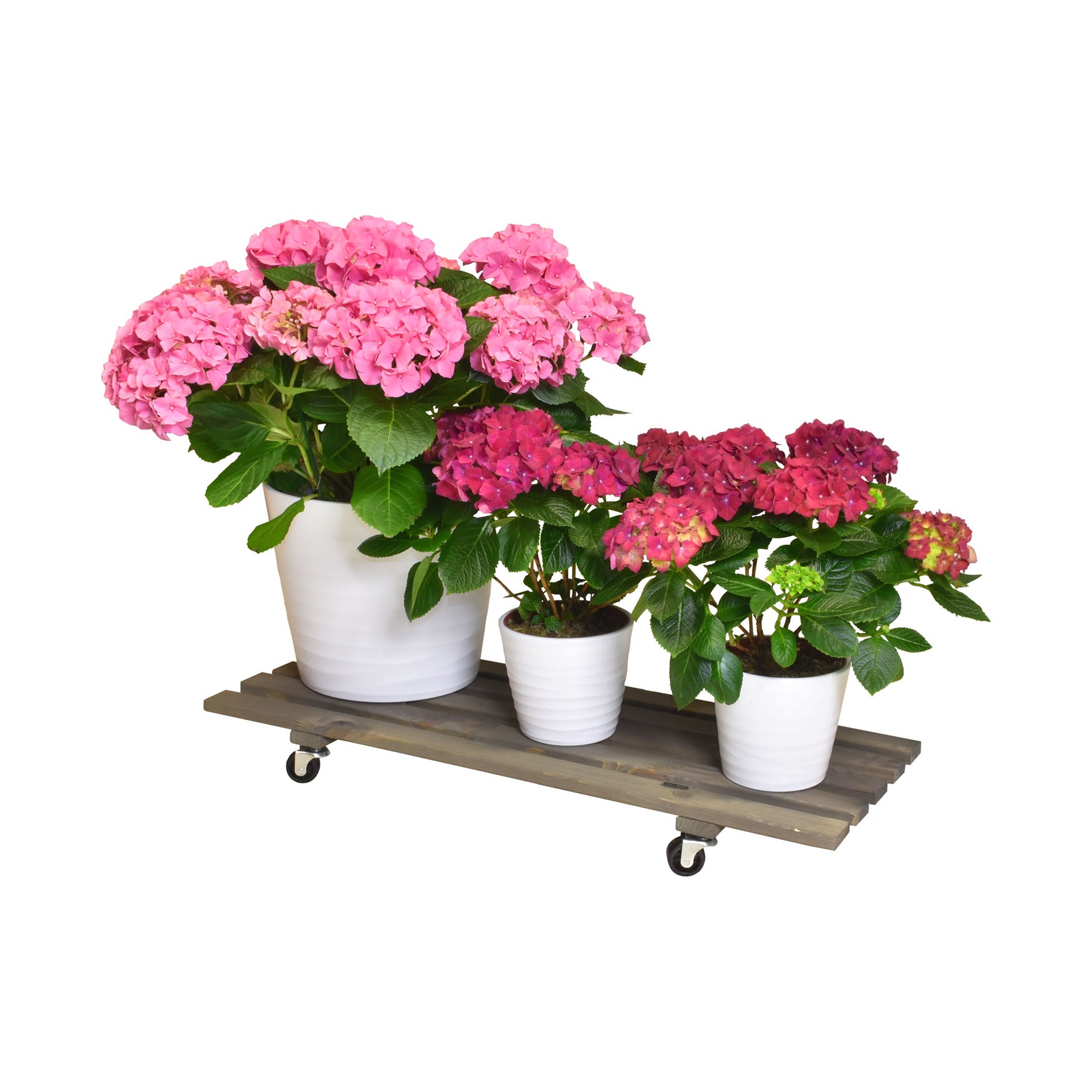 Wooden Plant Caddy - 11.5" x 31" Gray Rectangle