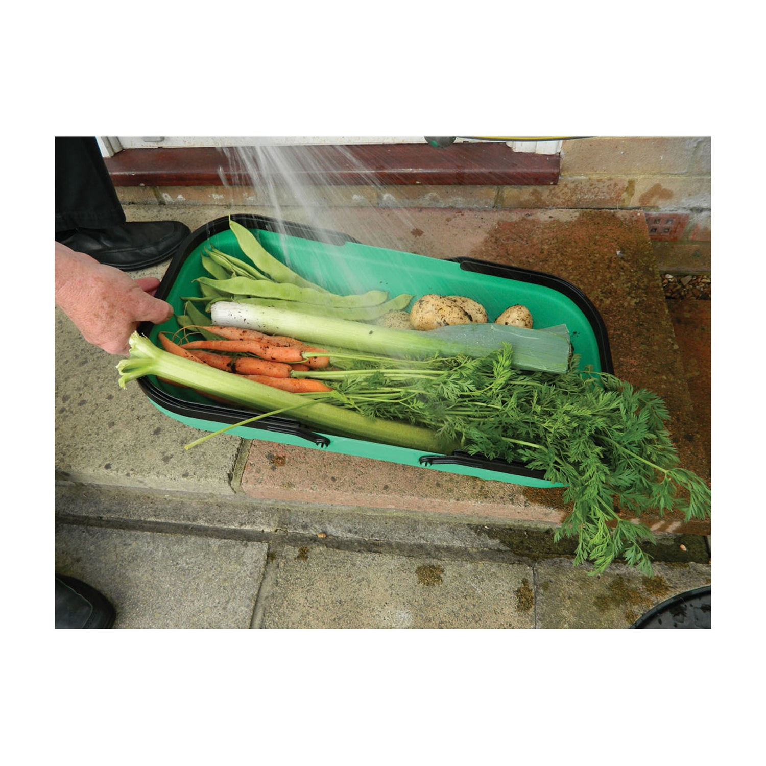 Colander Trug - Green