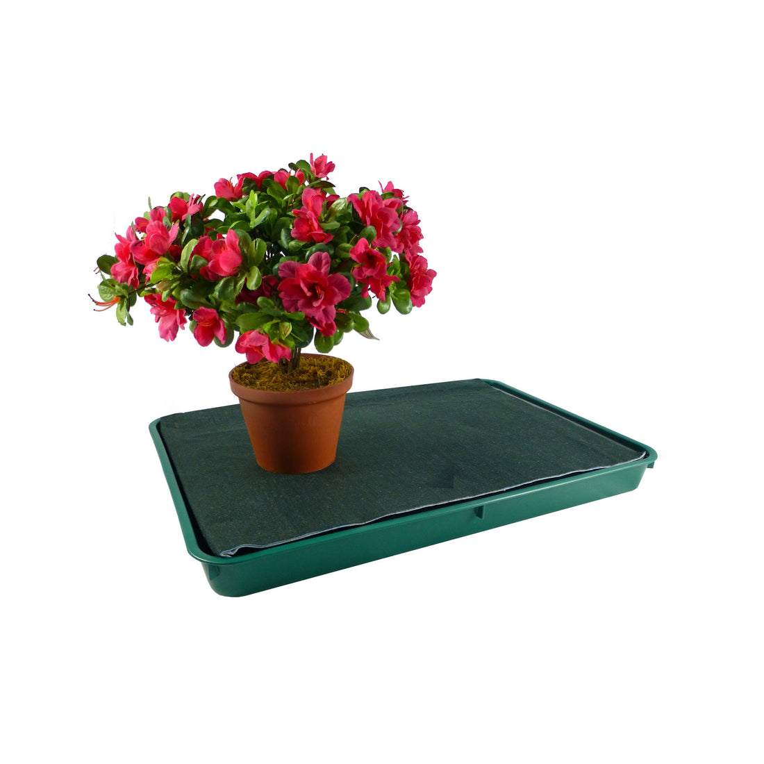 Self-Watering Tray - Large Green