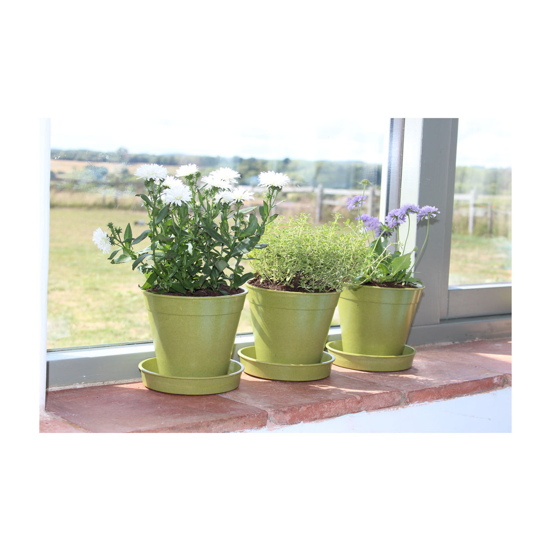 Bamboo Pot (5 pack) - 5" Green