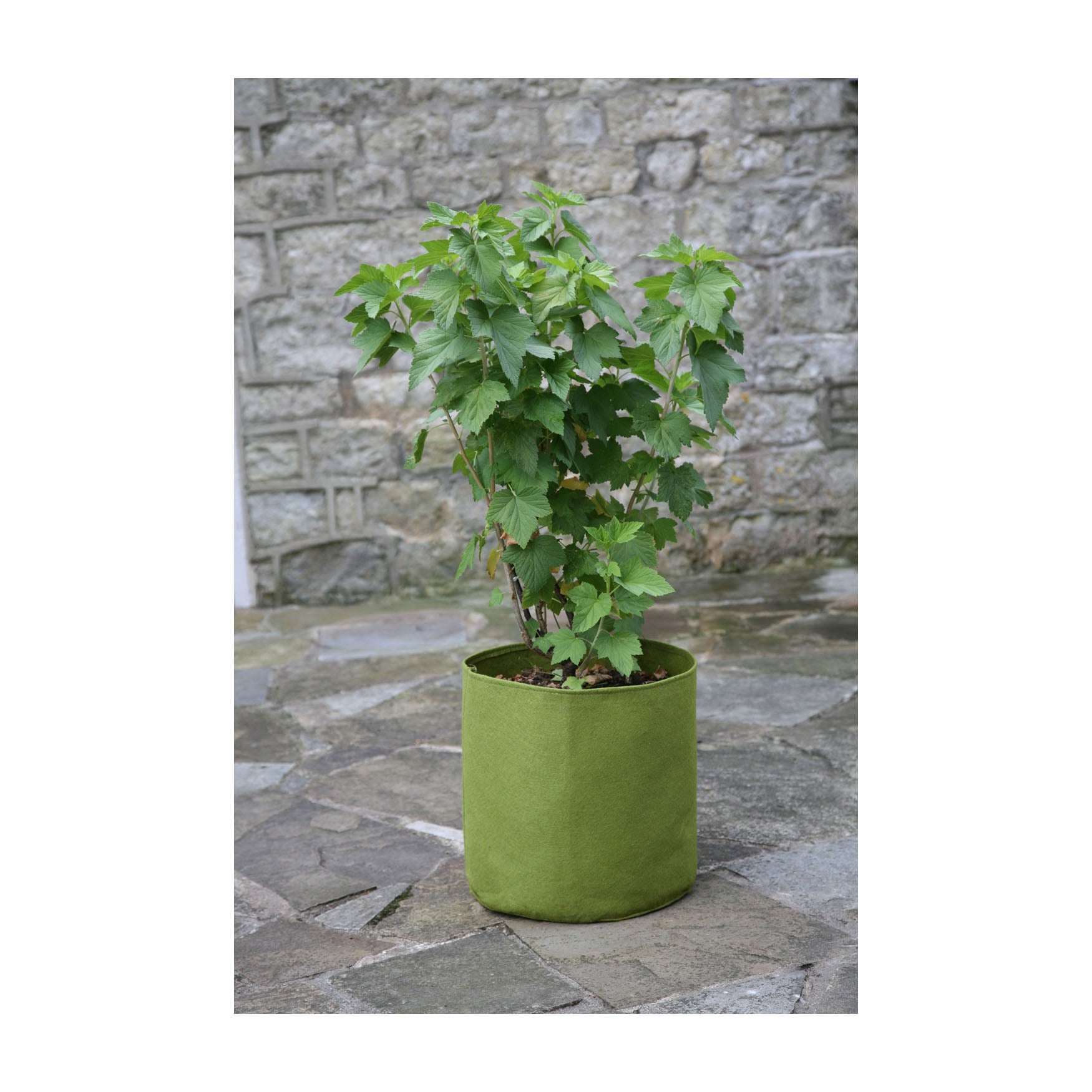 Vigoroot Pots (3 pack) - 5.3 Gal