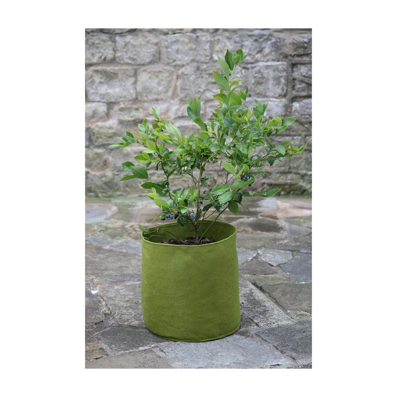 Vigoroot Pots (3 pack) - 2.6 Gal