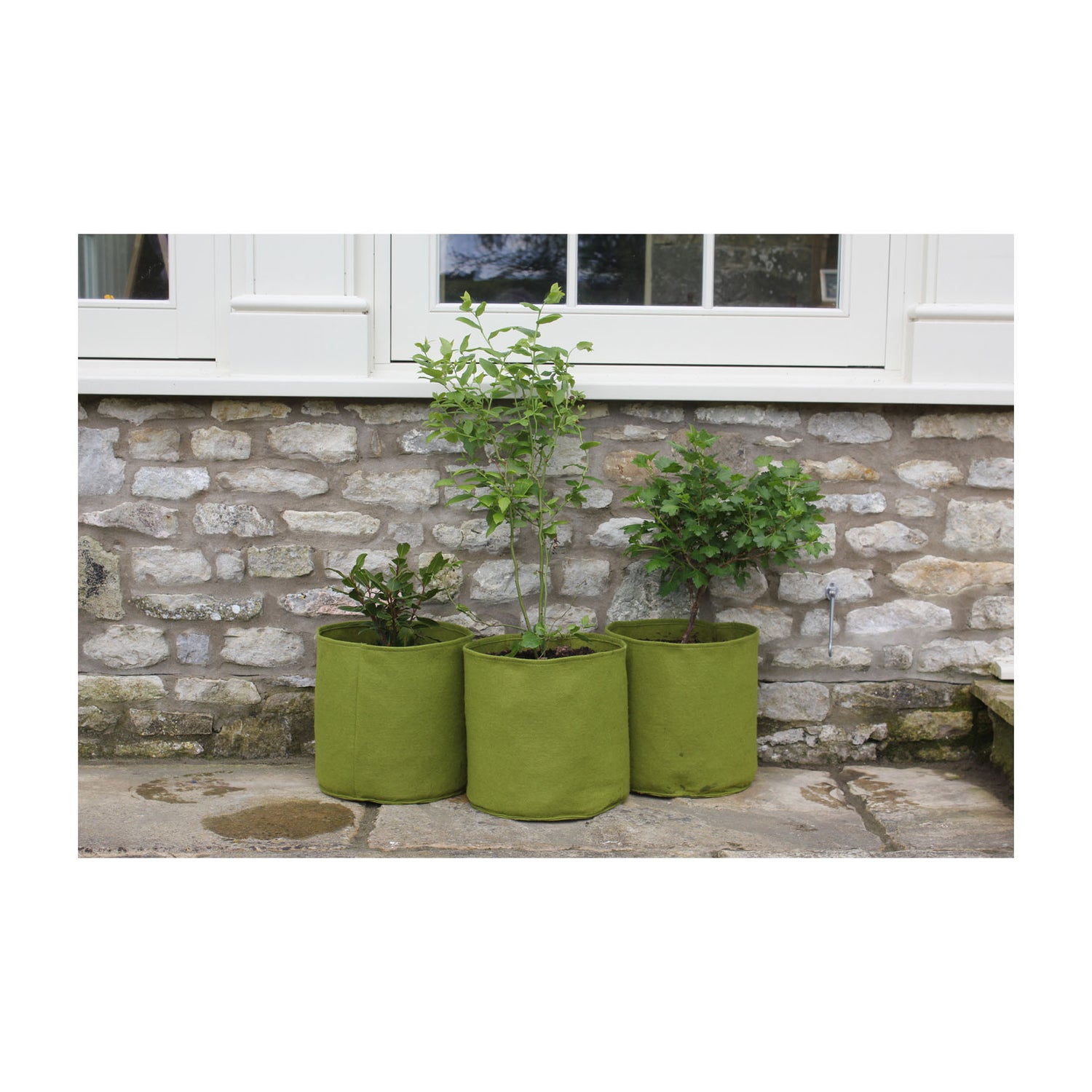 Vigoroot Pots (3 pack) - 4.0 Gal