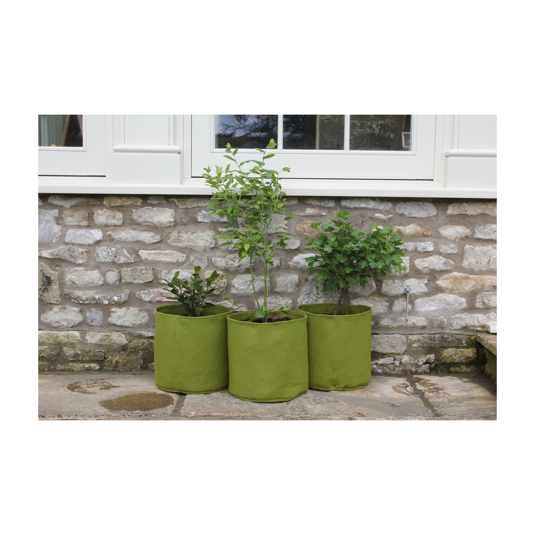 Vigoroot Pots (3 pack) - 4.0 Gal
