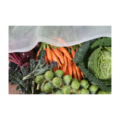 Micromesh Garden Blanket