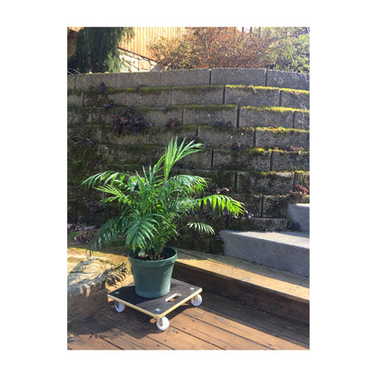 MaxiGrip Plant Caddy - 15" Black Square