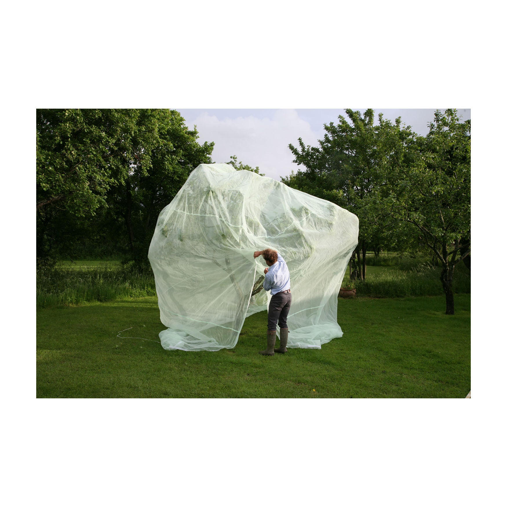 Fruit Tree Cover - 13.1&