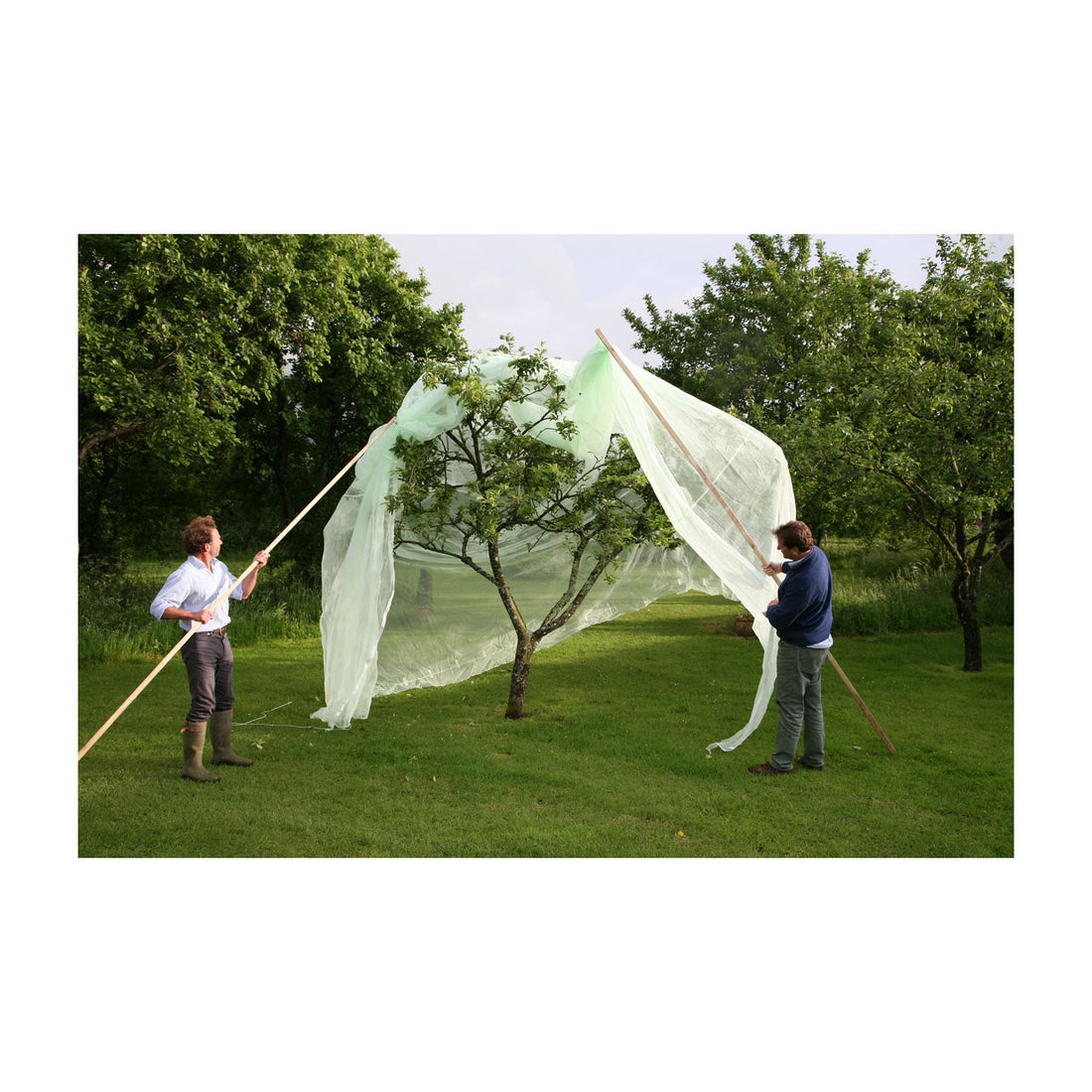 Fruit Tree Cover - 6.6&