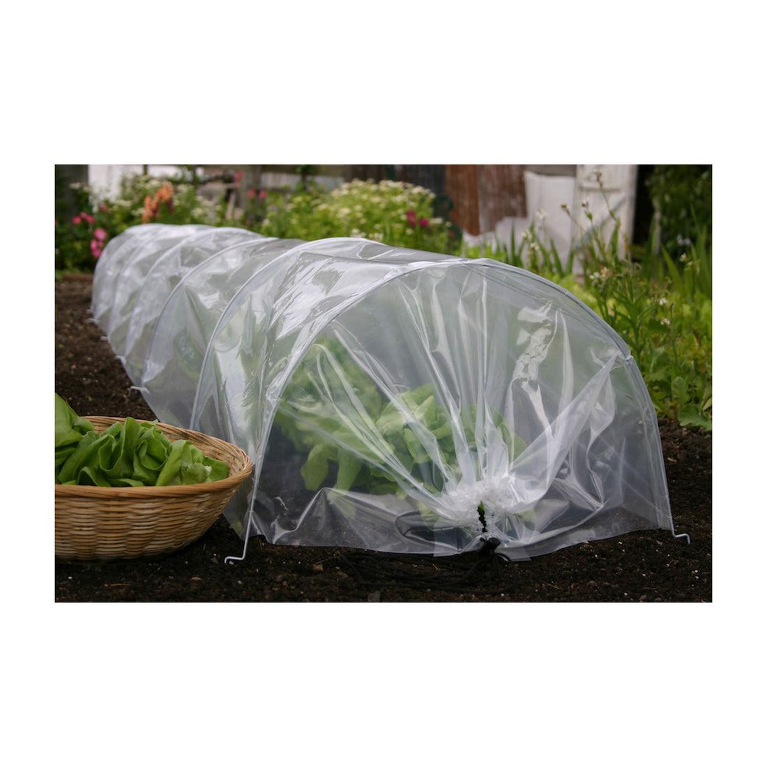Easy Poly Tunnel