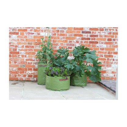 Vegetable Patio Planter (3 pack)