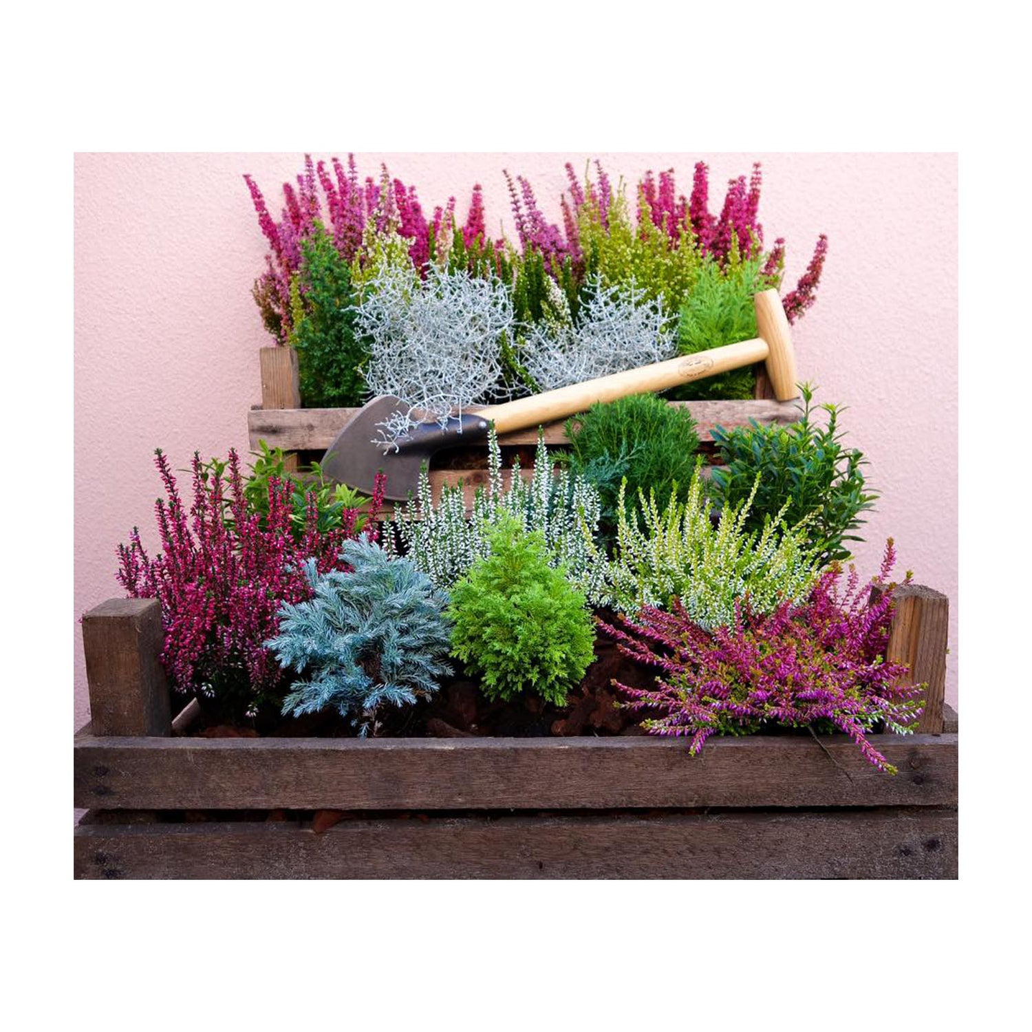 DeWit Spade - Perennial Long Handle