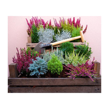 DeWit Spade - Perennial Long Handle