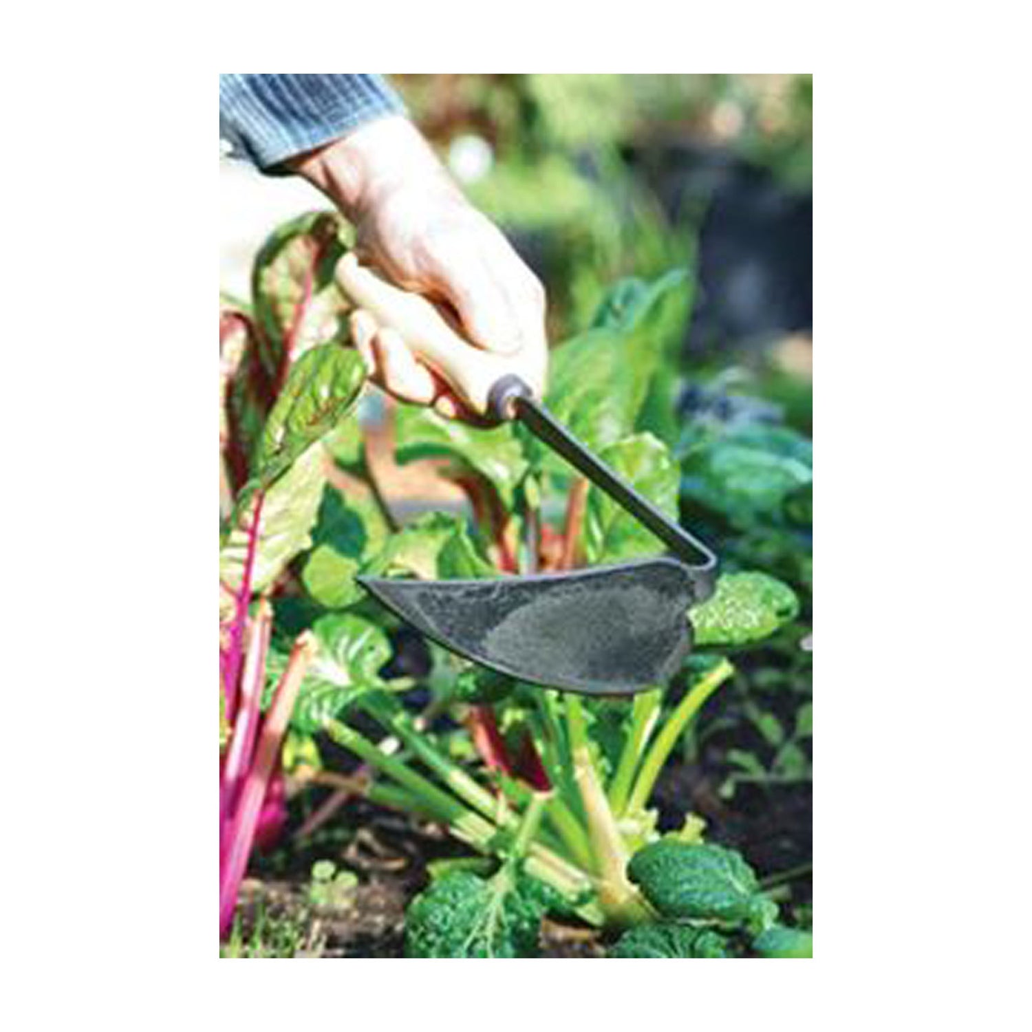 DeWit Hoe - Japanese Left Handed