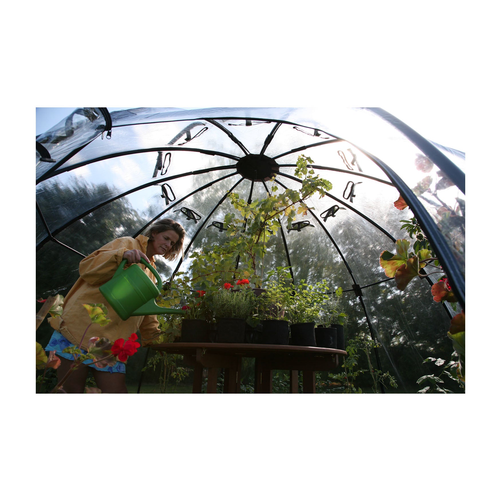 Sunbubble Greenhouse - Large