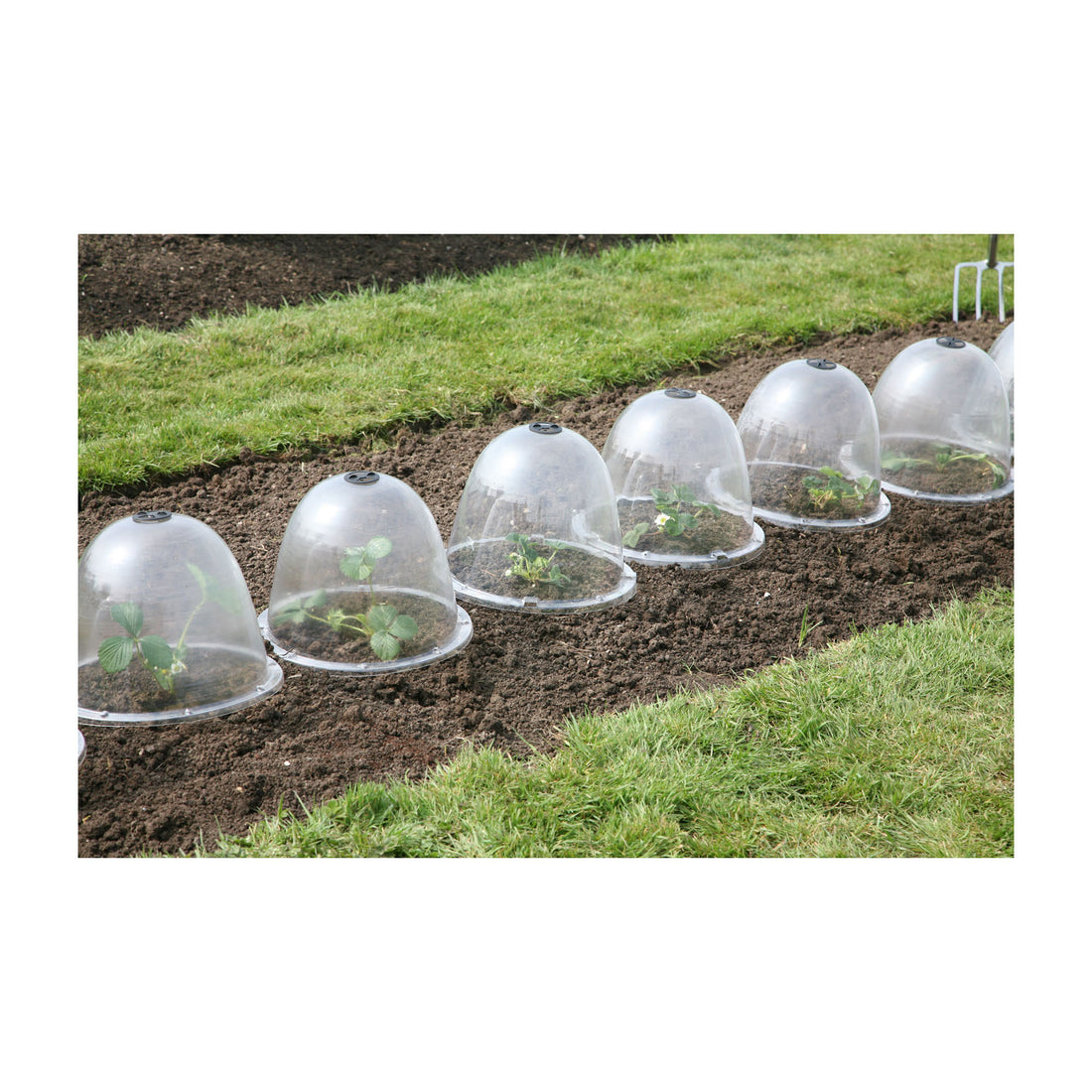 Victorian Bell (3 pack)