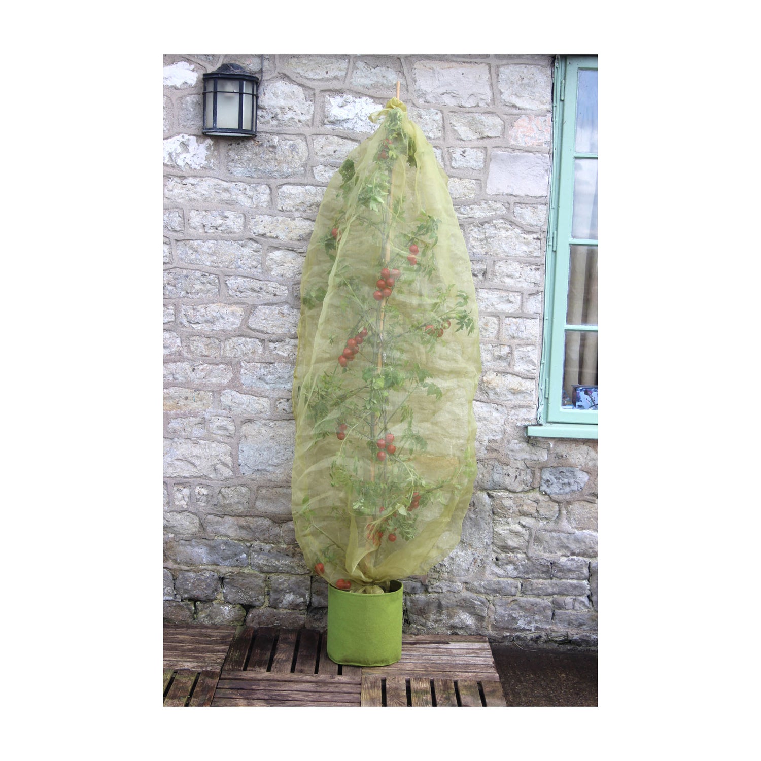 Micromesh Tomato Tube (3 pack)